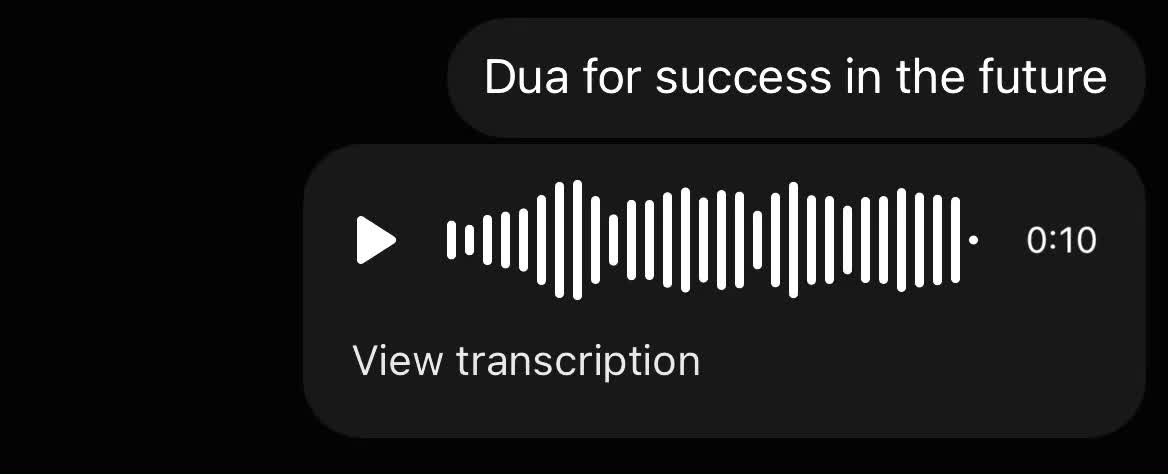 @dxb.mush