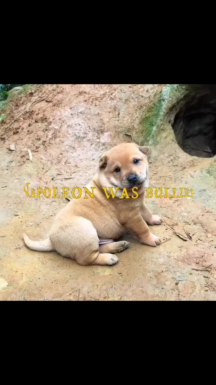 @Dude