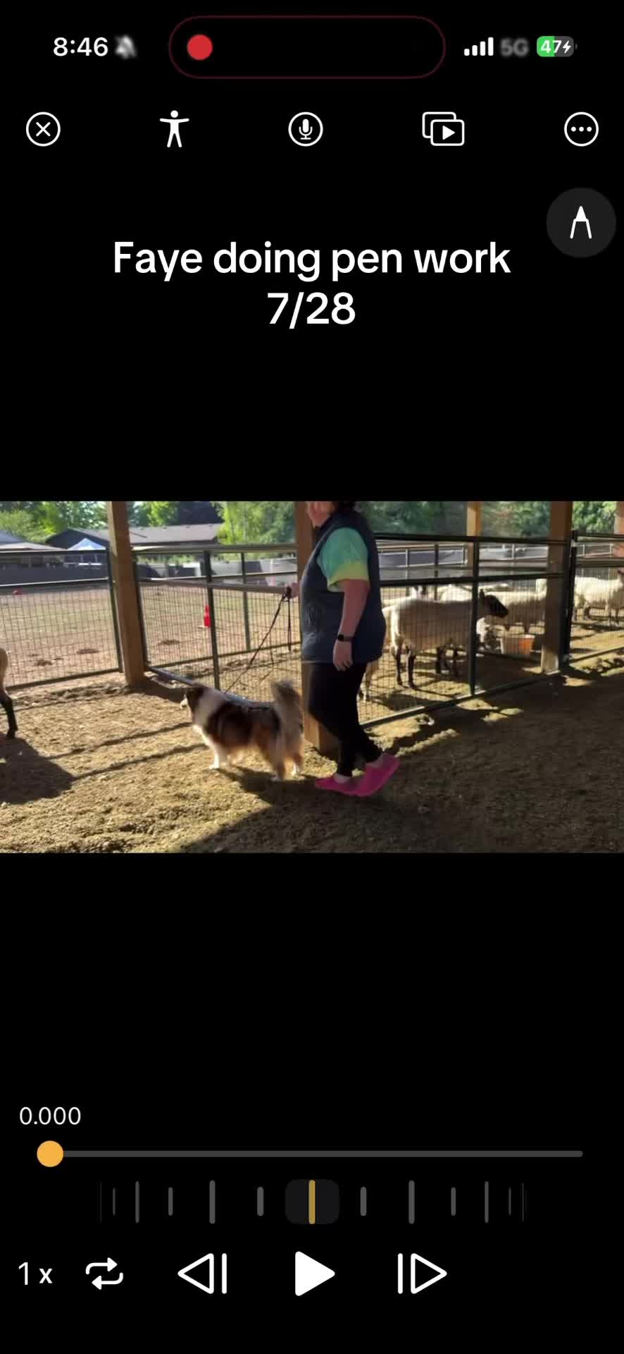 @Heather Discovery Canine Adv.