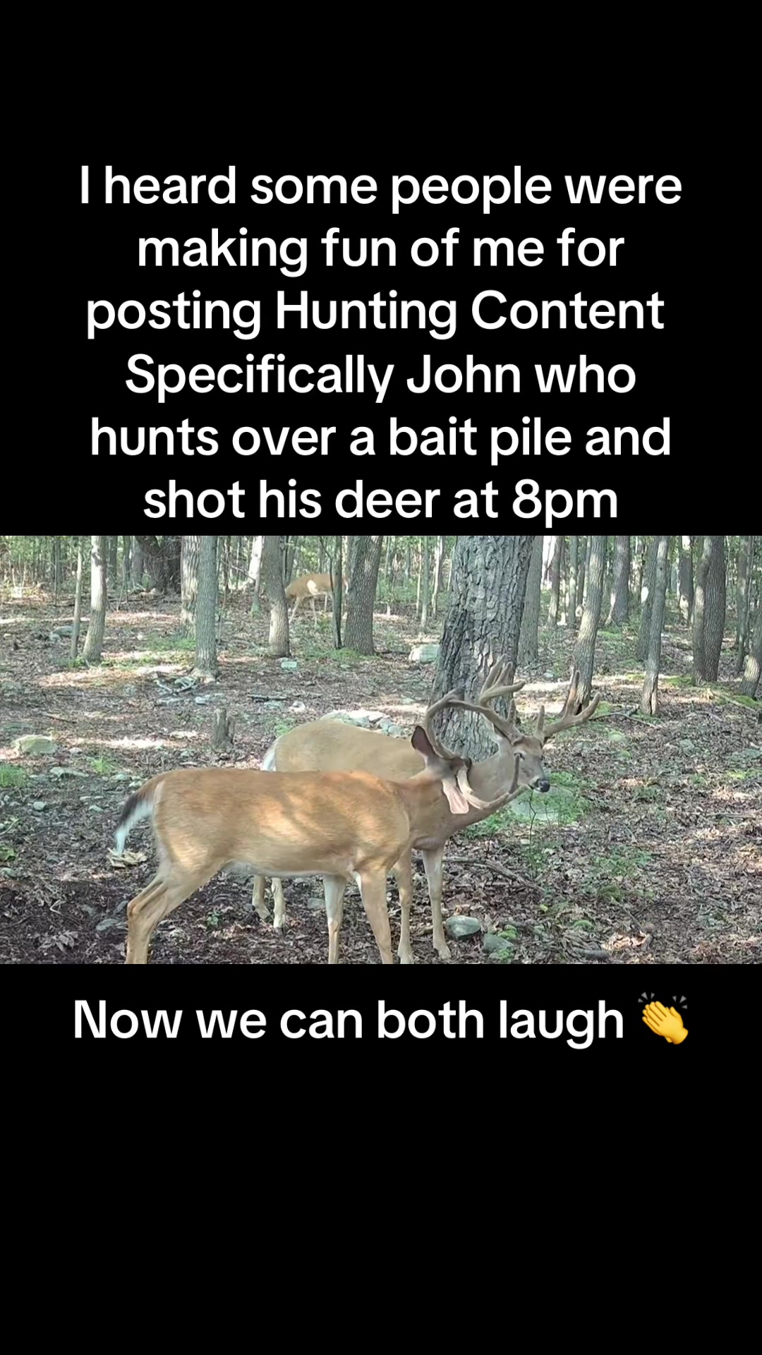 @Lilwolf