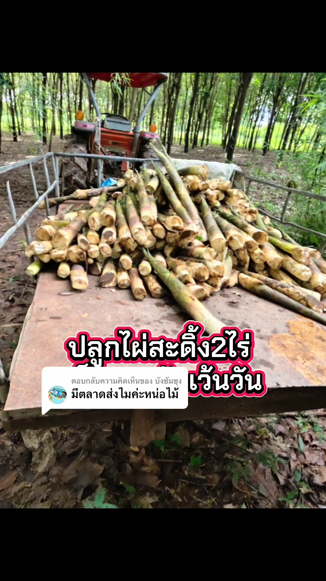 @นัดดาชอป