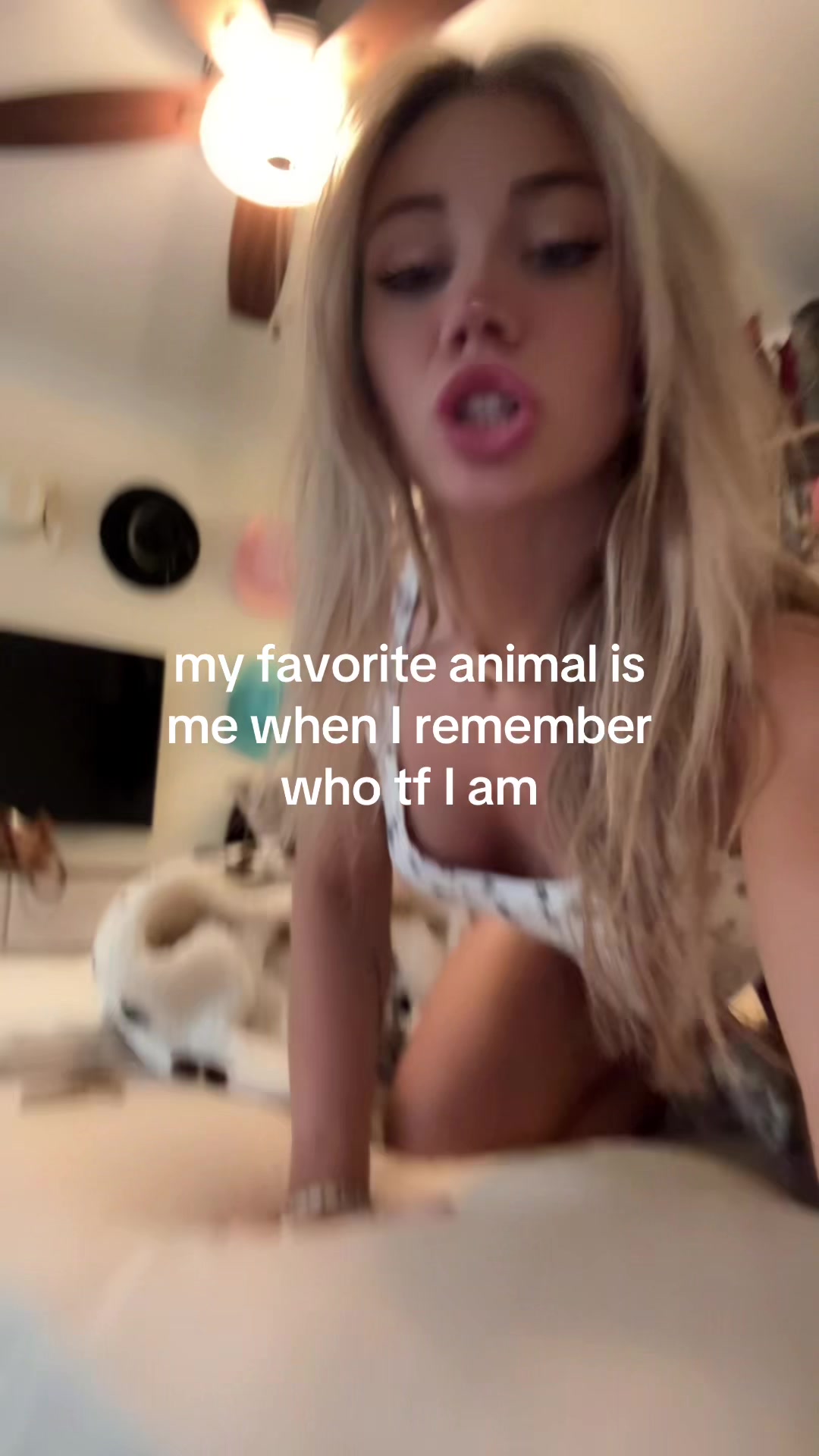 @Bella Rovirosa