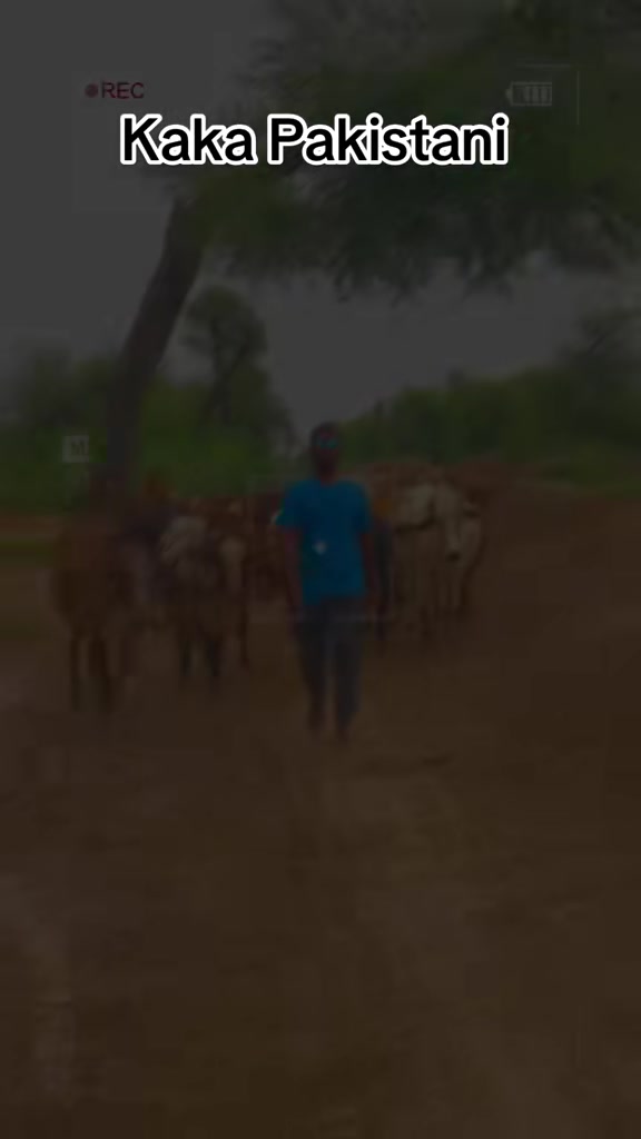 @kakapakistani7