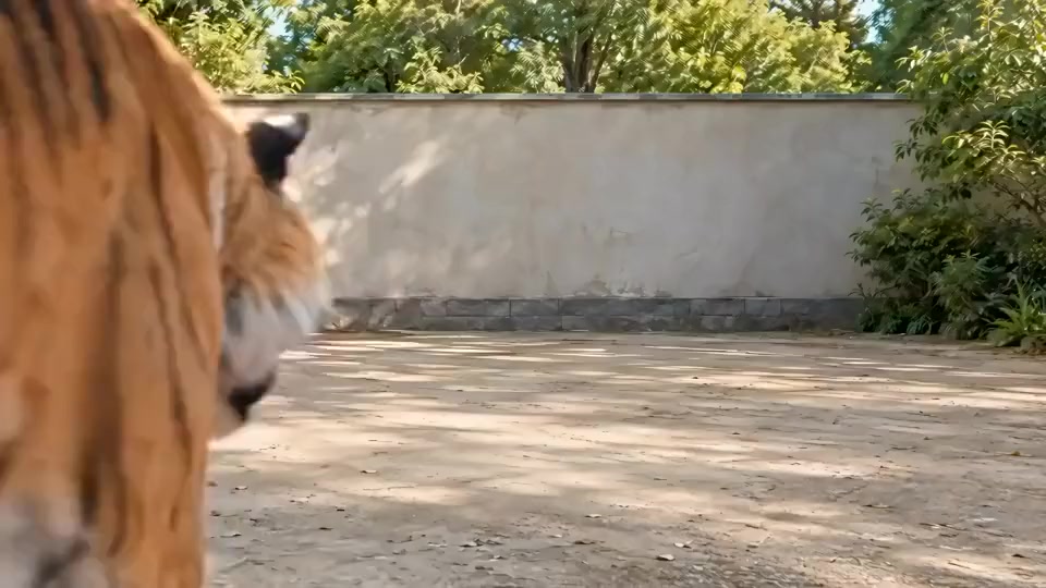 @晃晃悠悠