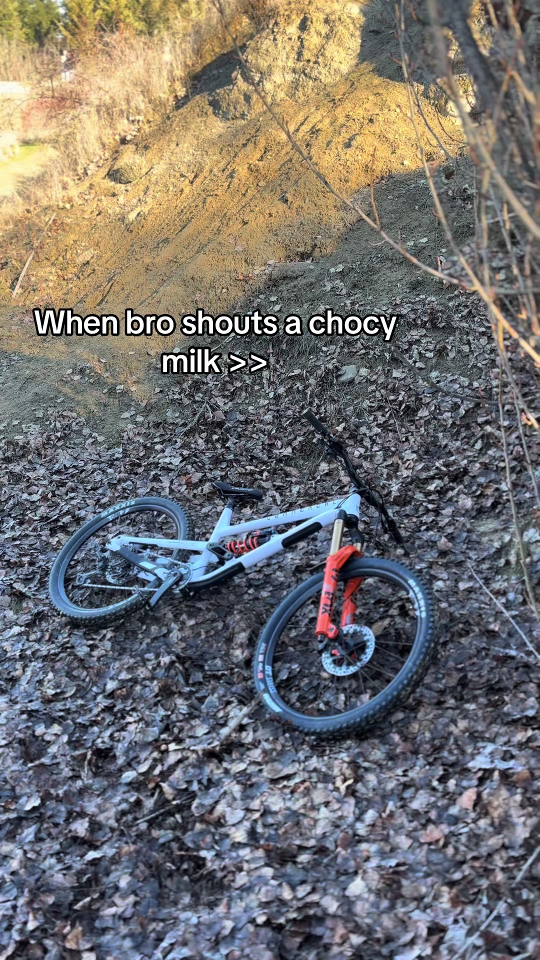 @𝒮𝑒𝓍𝓎𝒸𝓁𝒶𝓈𝒽