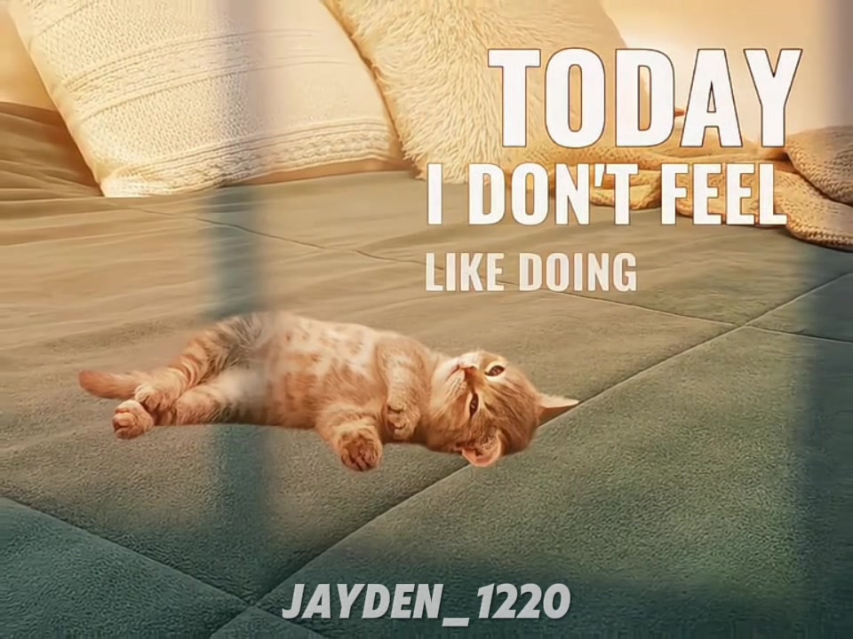 @Jayden_1220