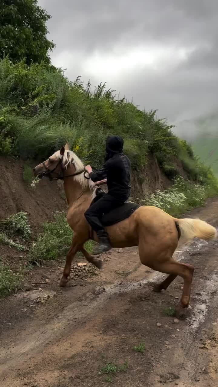 @ThunderGallops