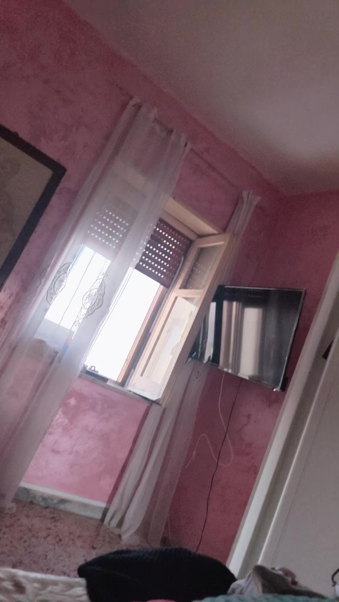 @wonderful sun pless