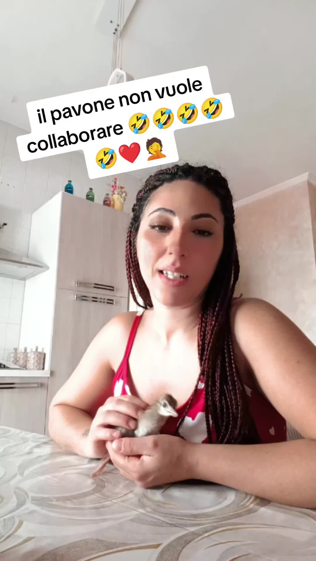 @annagiannischisano❤️