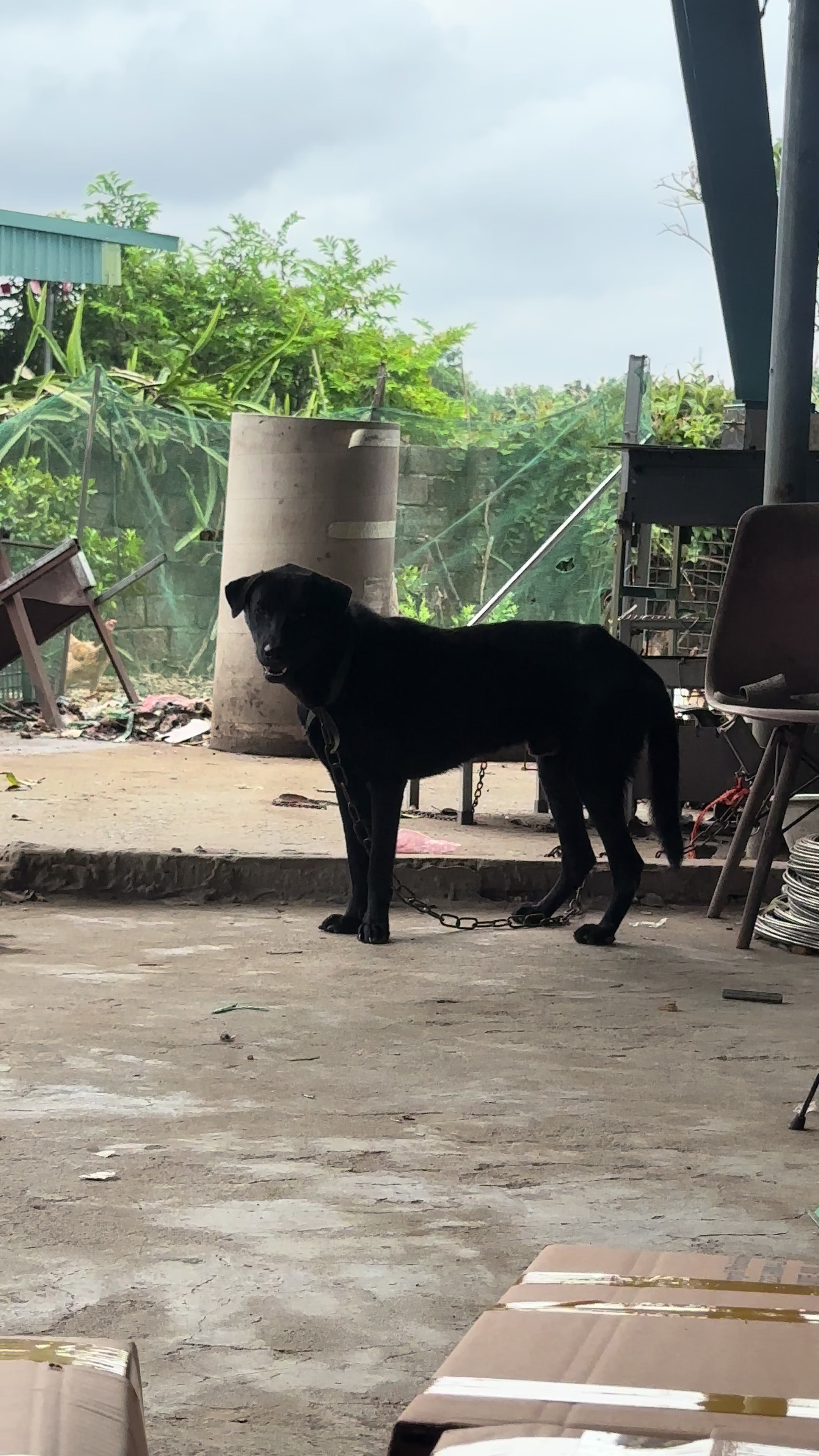 @Khi Nào Trắng Thì Đổi Tên(Đen)