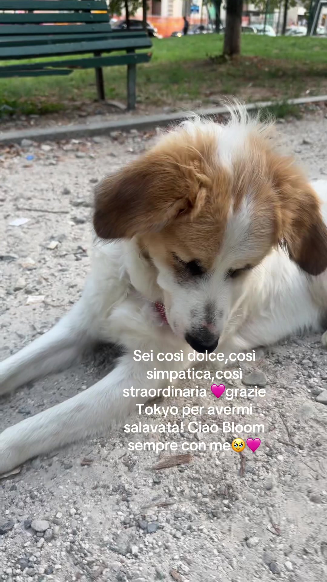 @Tizzi e i suoi pelosi😍😍