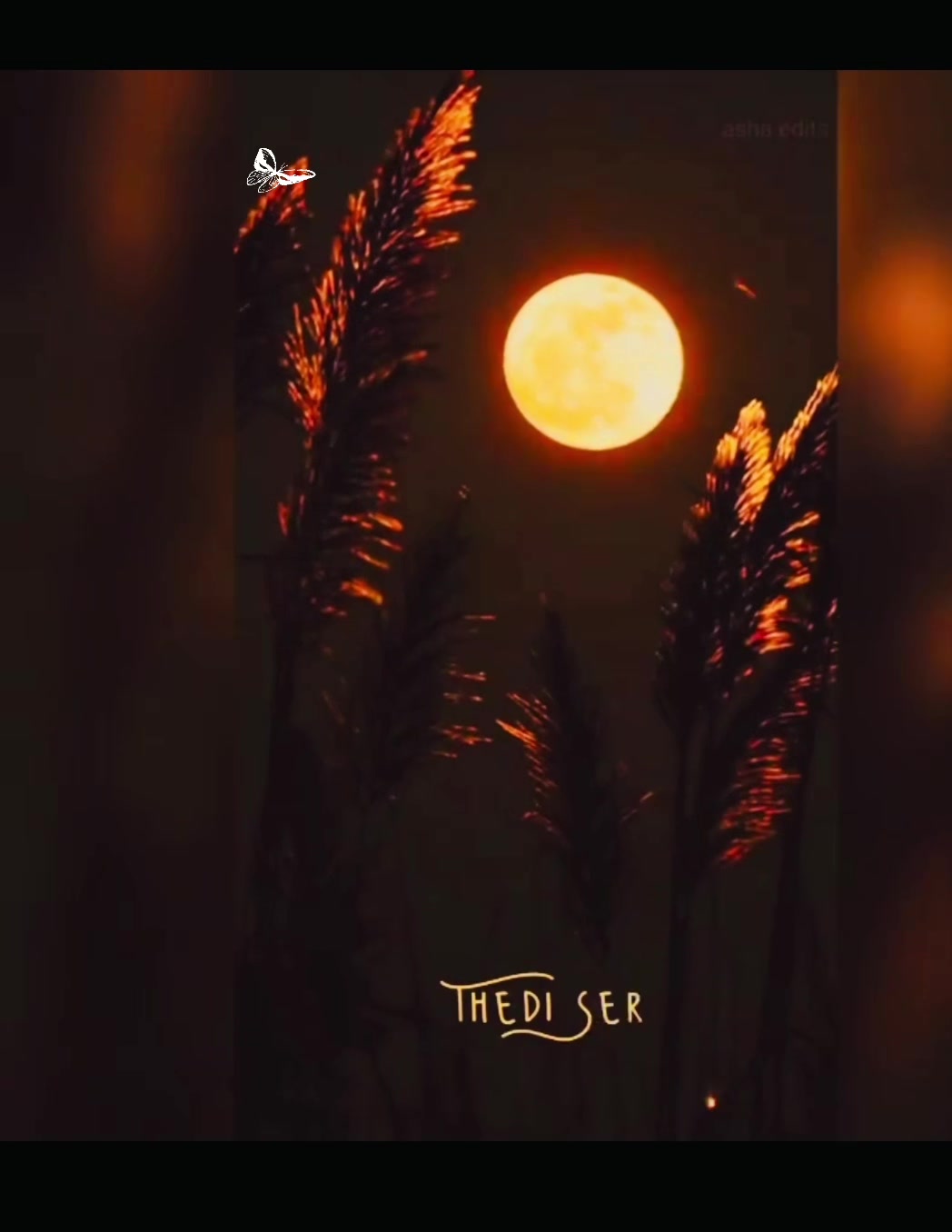 @๐๐๐-๐๐ป๐ฒ๐ฎ๐ท๐ญ ๐โจ