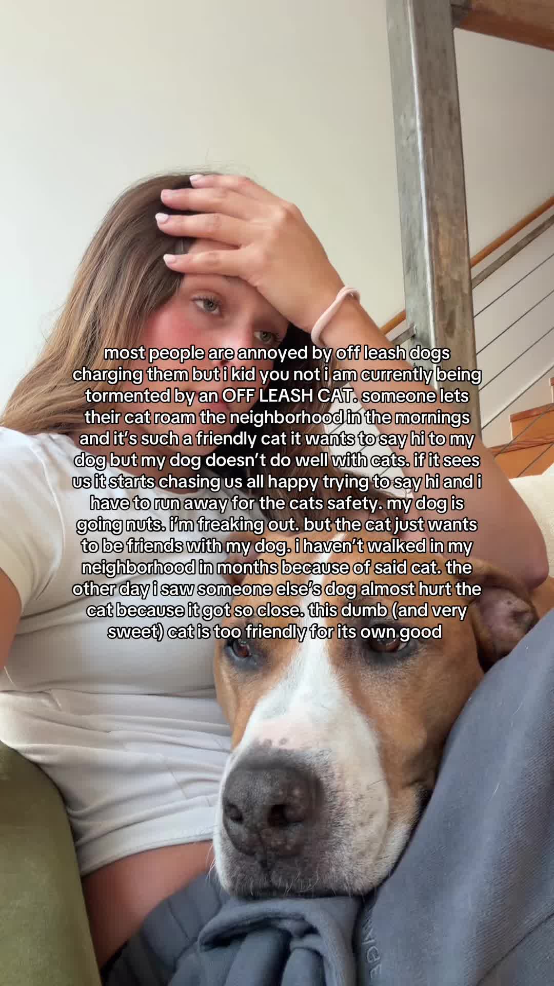 @Abby KPA-CTP | Dog Trainer