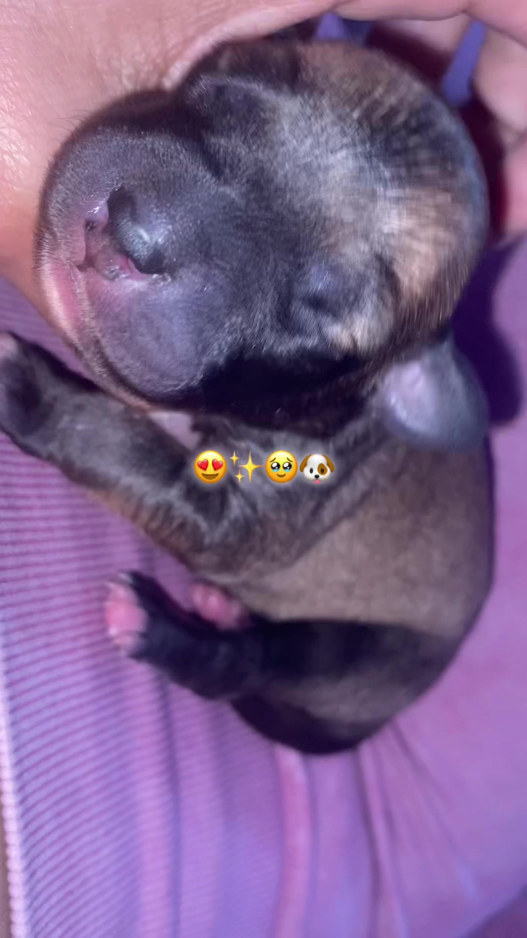 @aylu_oficial23