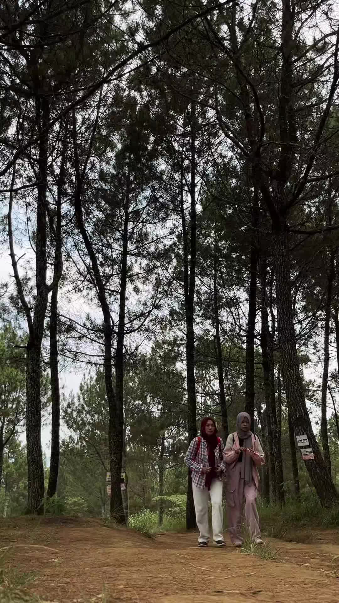 @Erni Aisyah