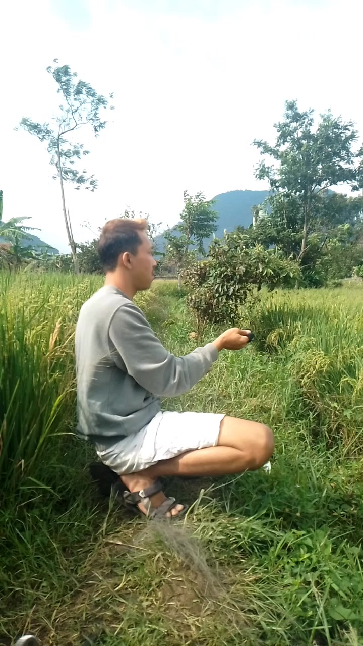 @PUTRA BUNGSU GARUT_D