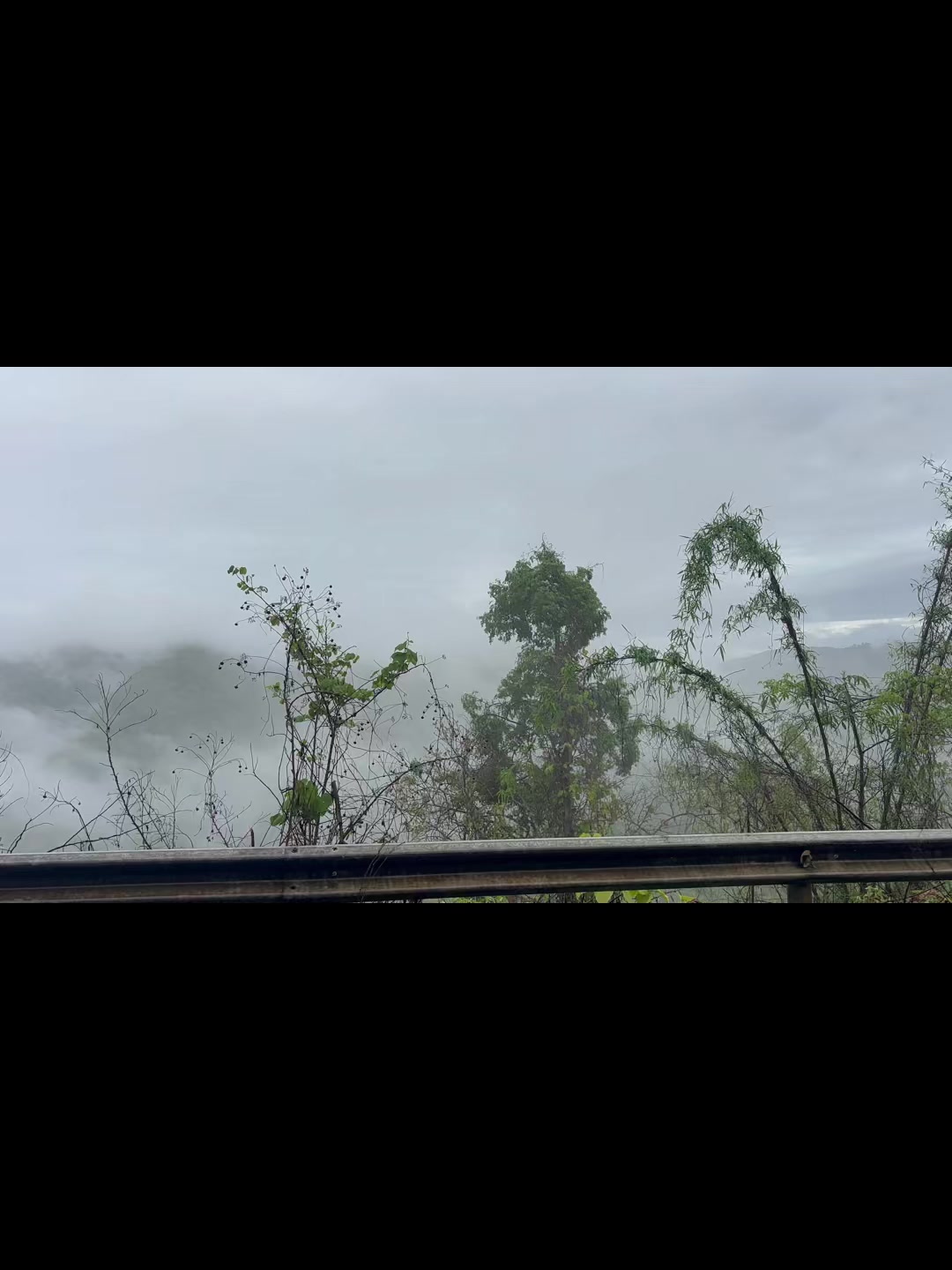 @AyeMyaOo