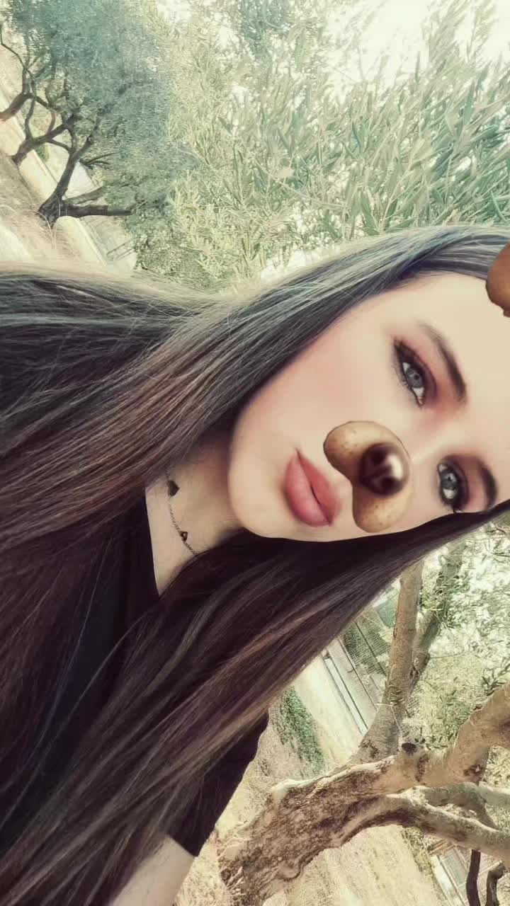 @EMA🐯