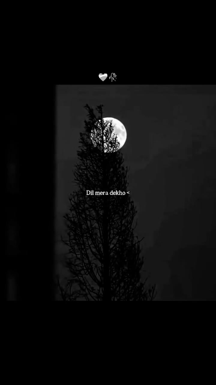 @➳♥𝑩𝑬𝑹𝑹𝒀🫐