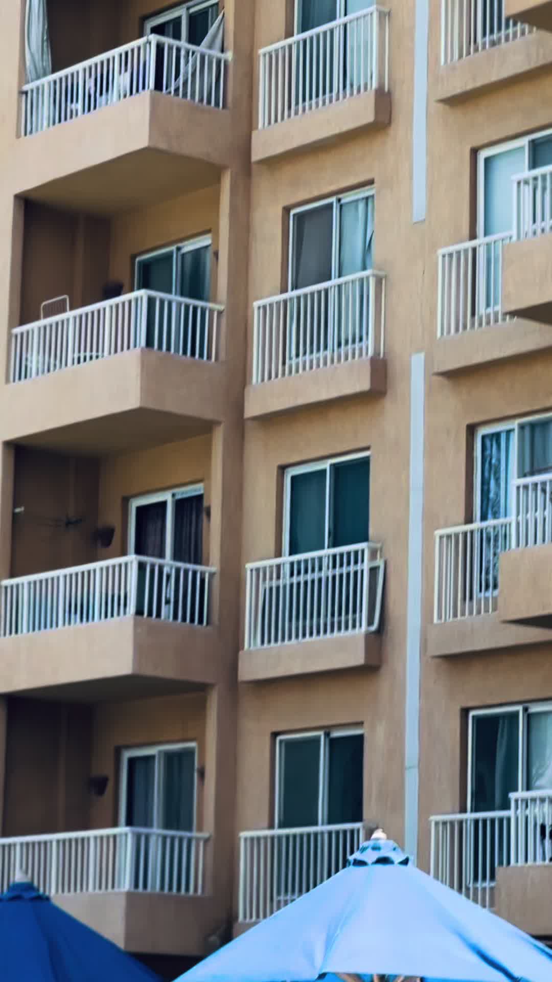 @سگــر🪬'