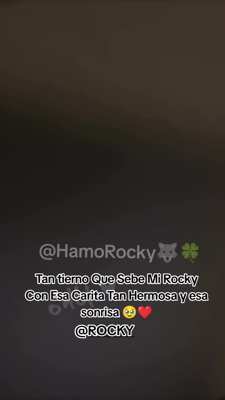 @Hamo Rocky🐺🍀