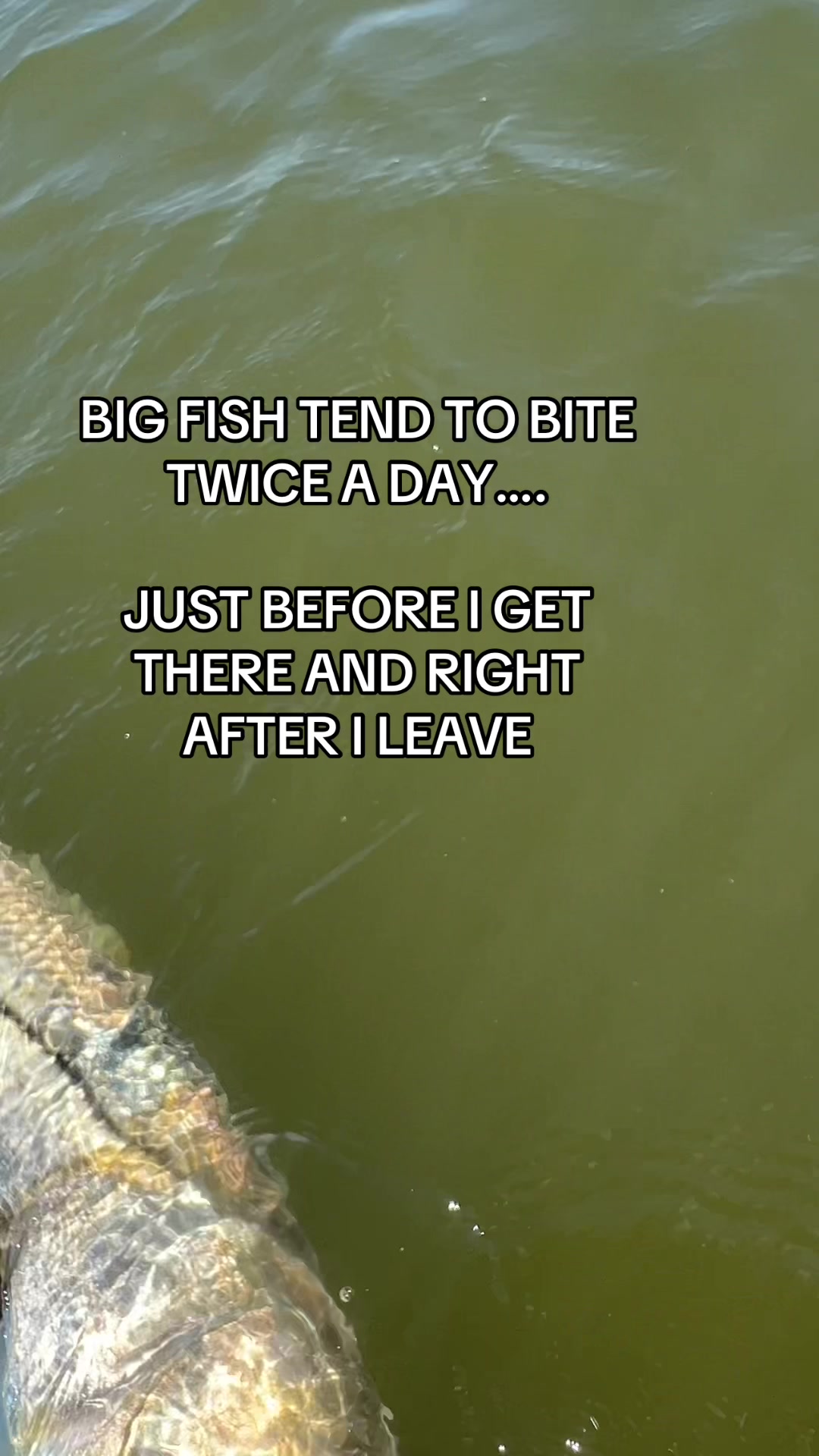 @🏝️girlpirate🏴☠️🧜♀️ 🎣Capt