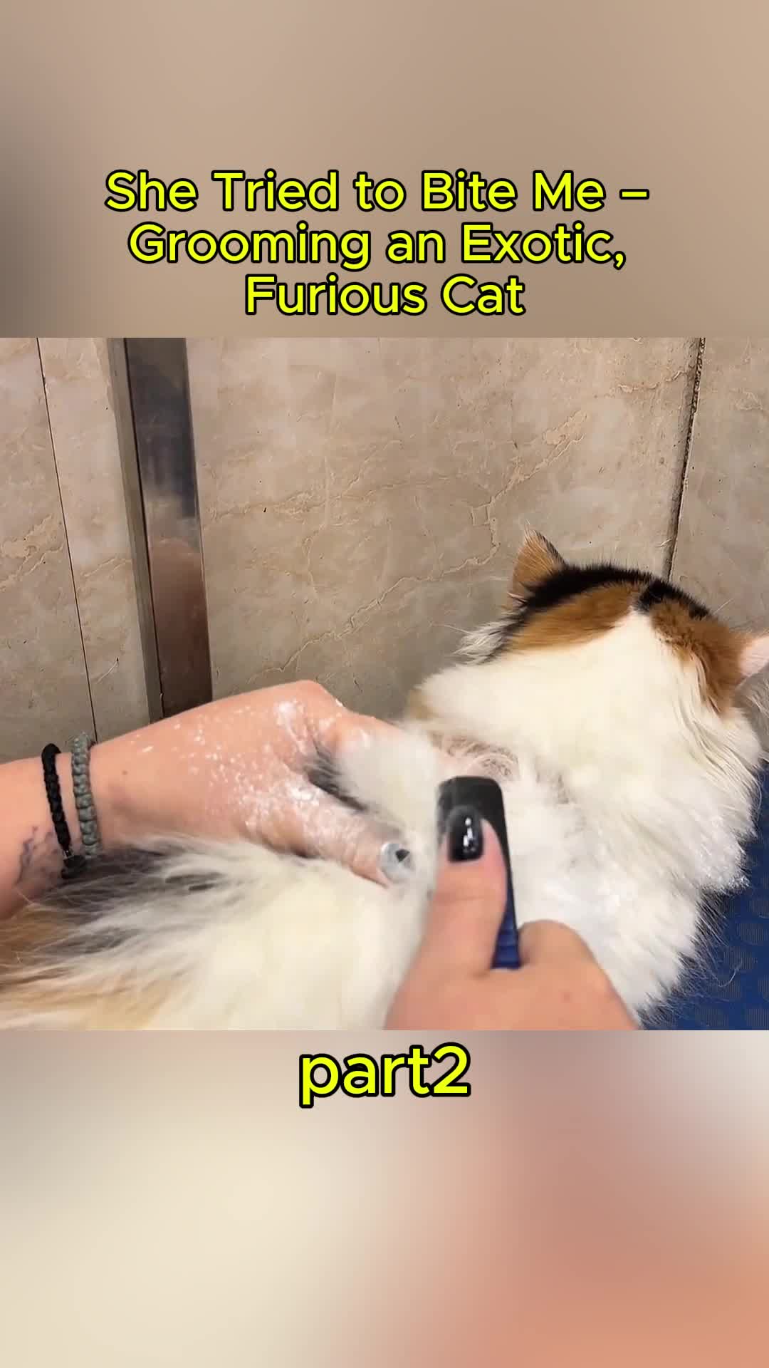 @uxifnfsiyyn