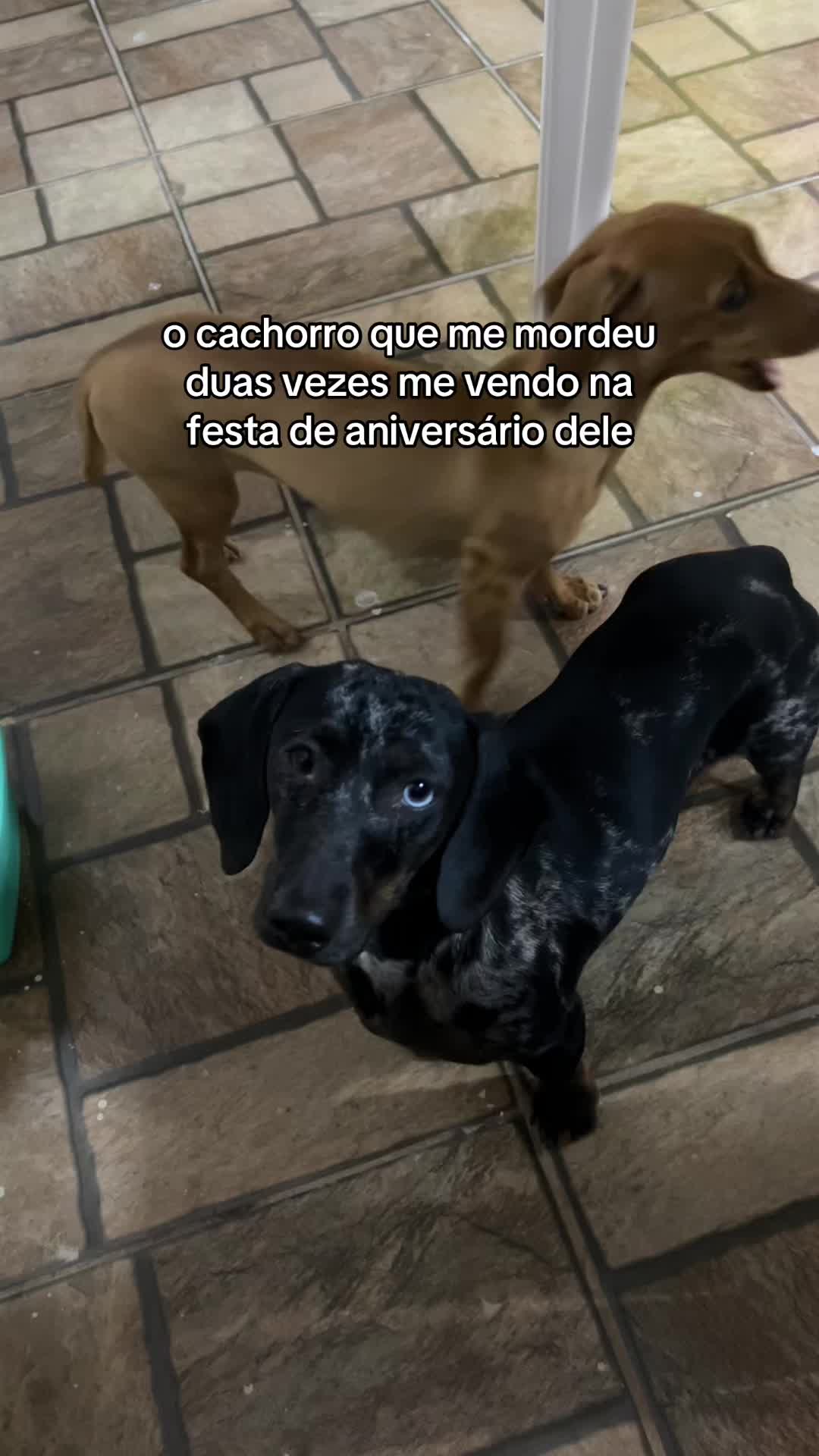 @eduarda