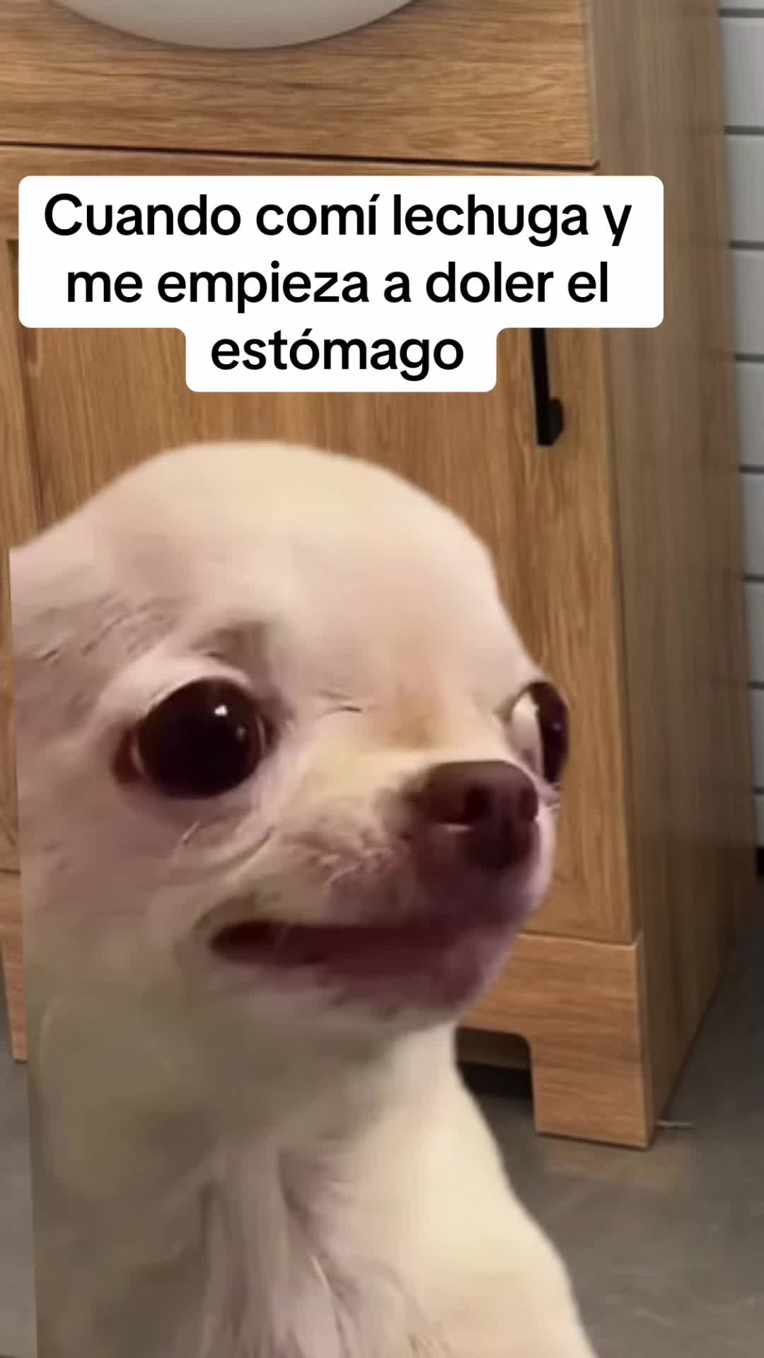 @frases_para_tupagina