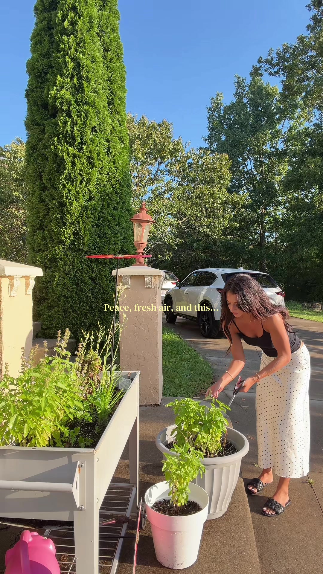 @Allisar