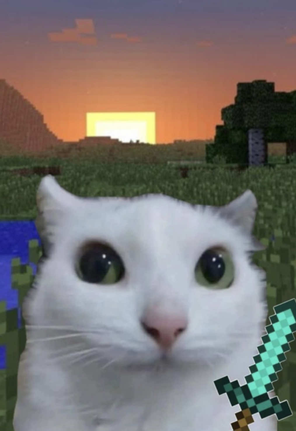 @ᴘʀɪɴᴄᴇss_ᴅᴀʏᴀɴᴀ