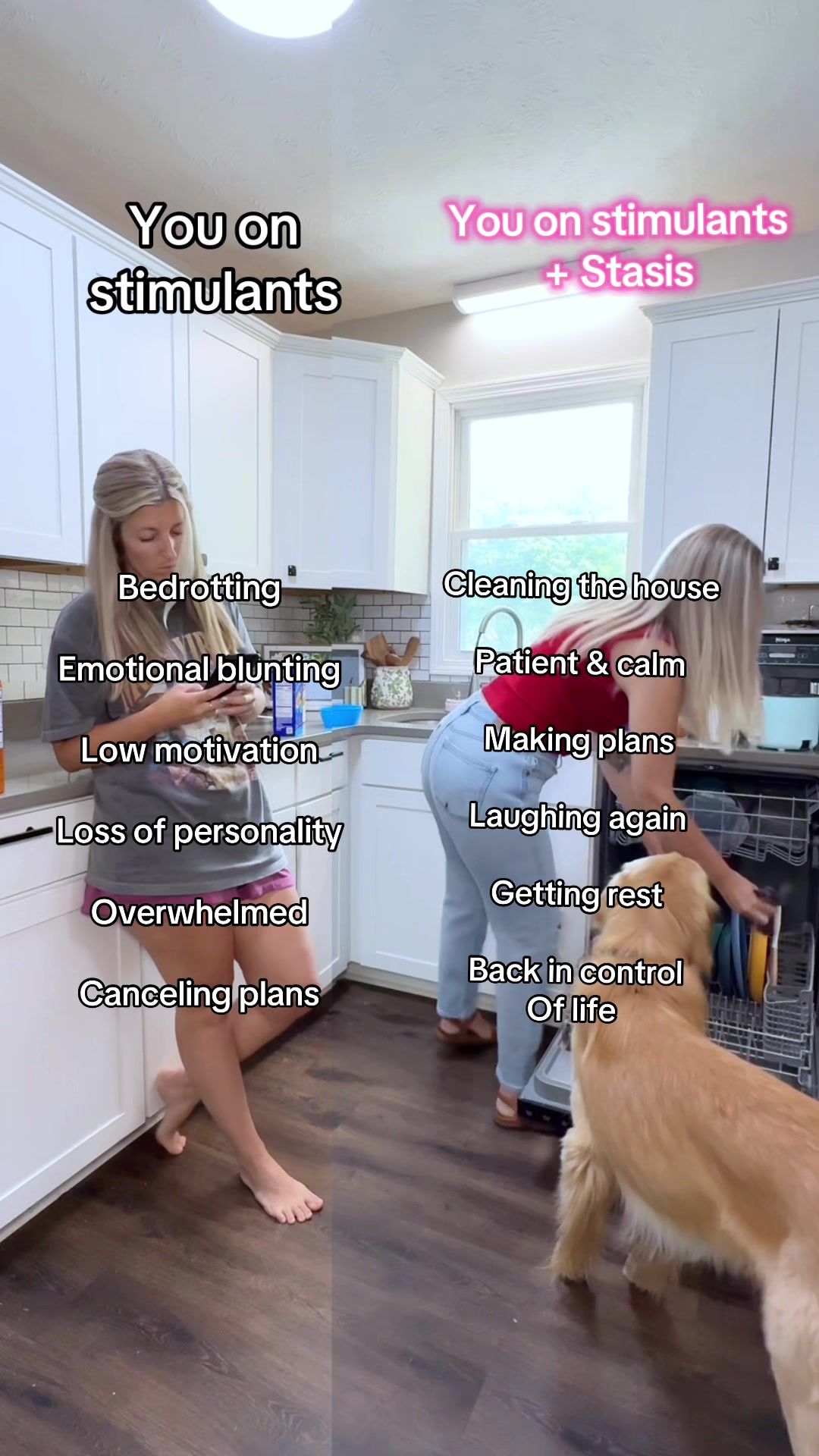 @Josi B🦮