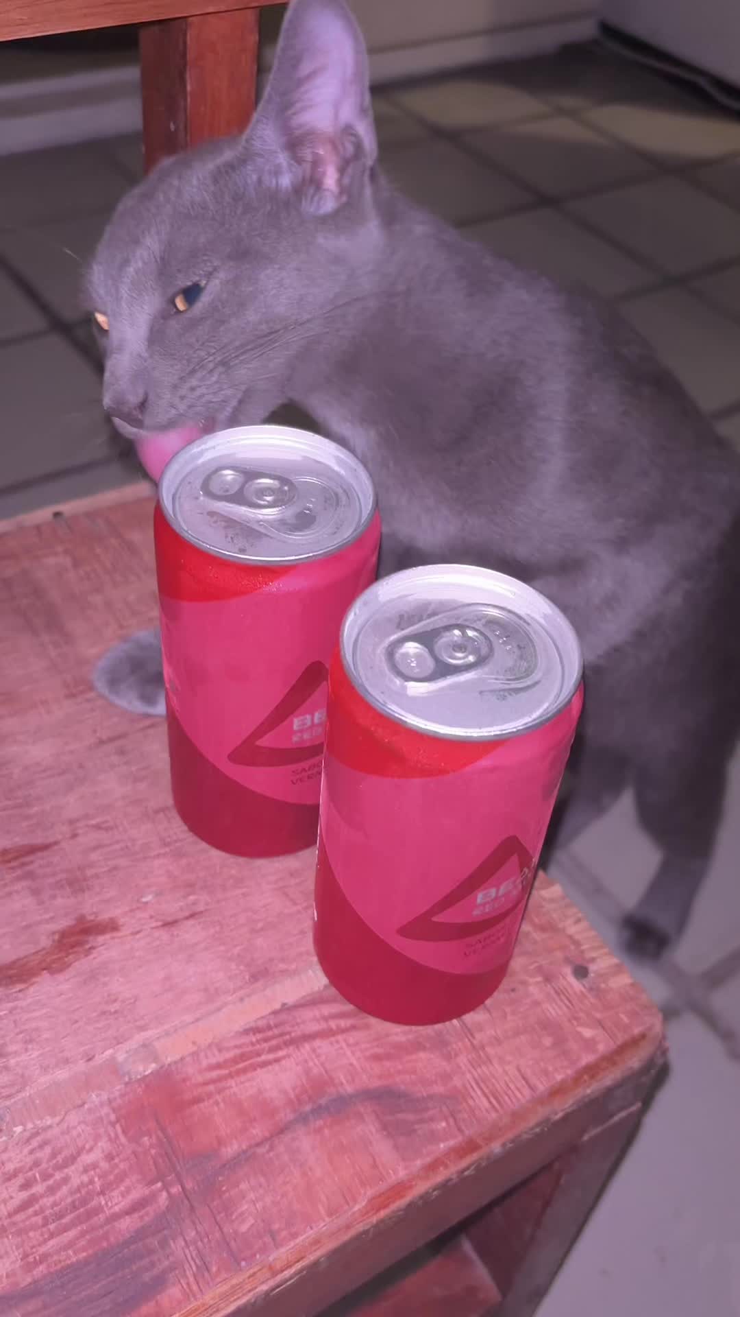 @melzinho de feira