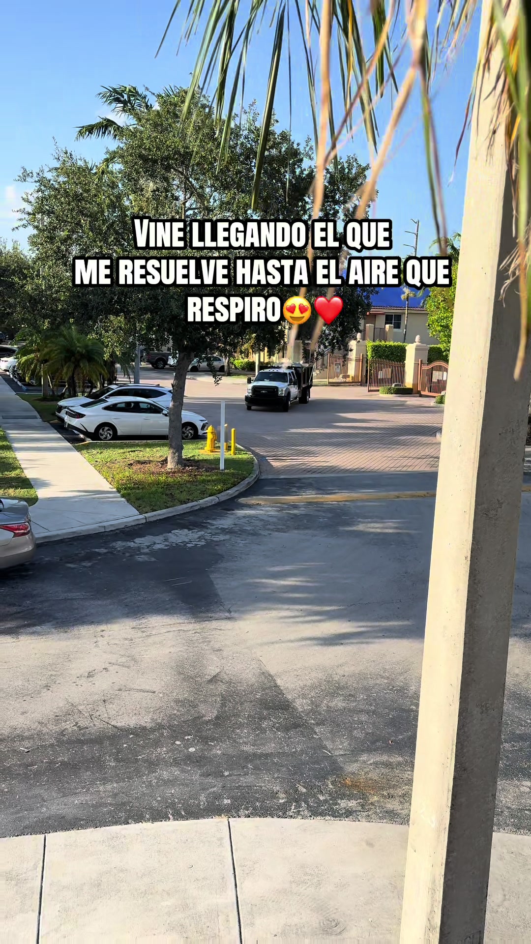 @Dileimysdelpino