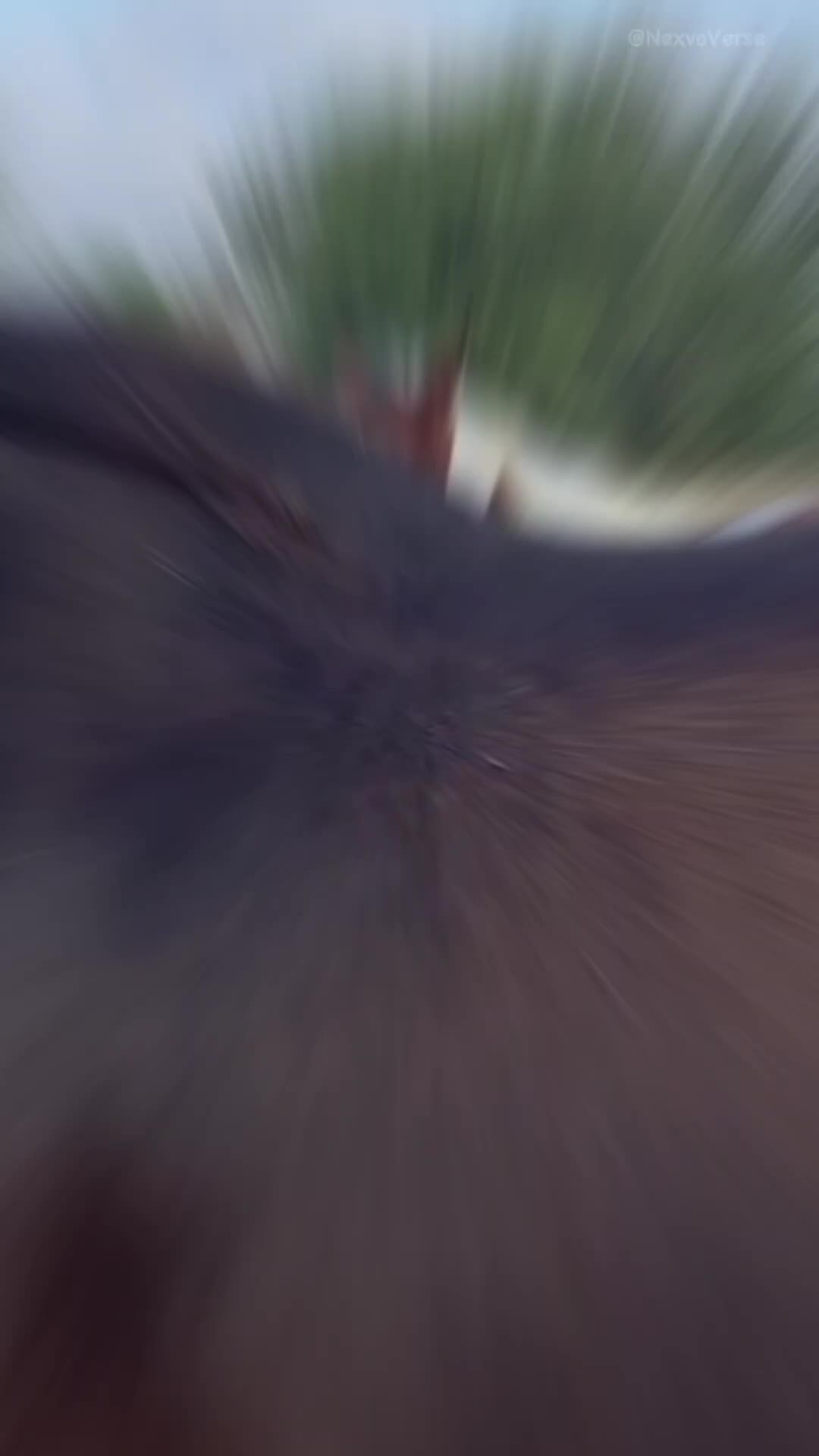 @ZvEr✓