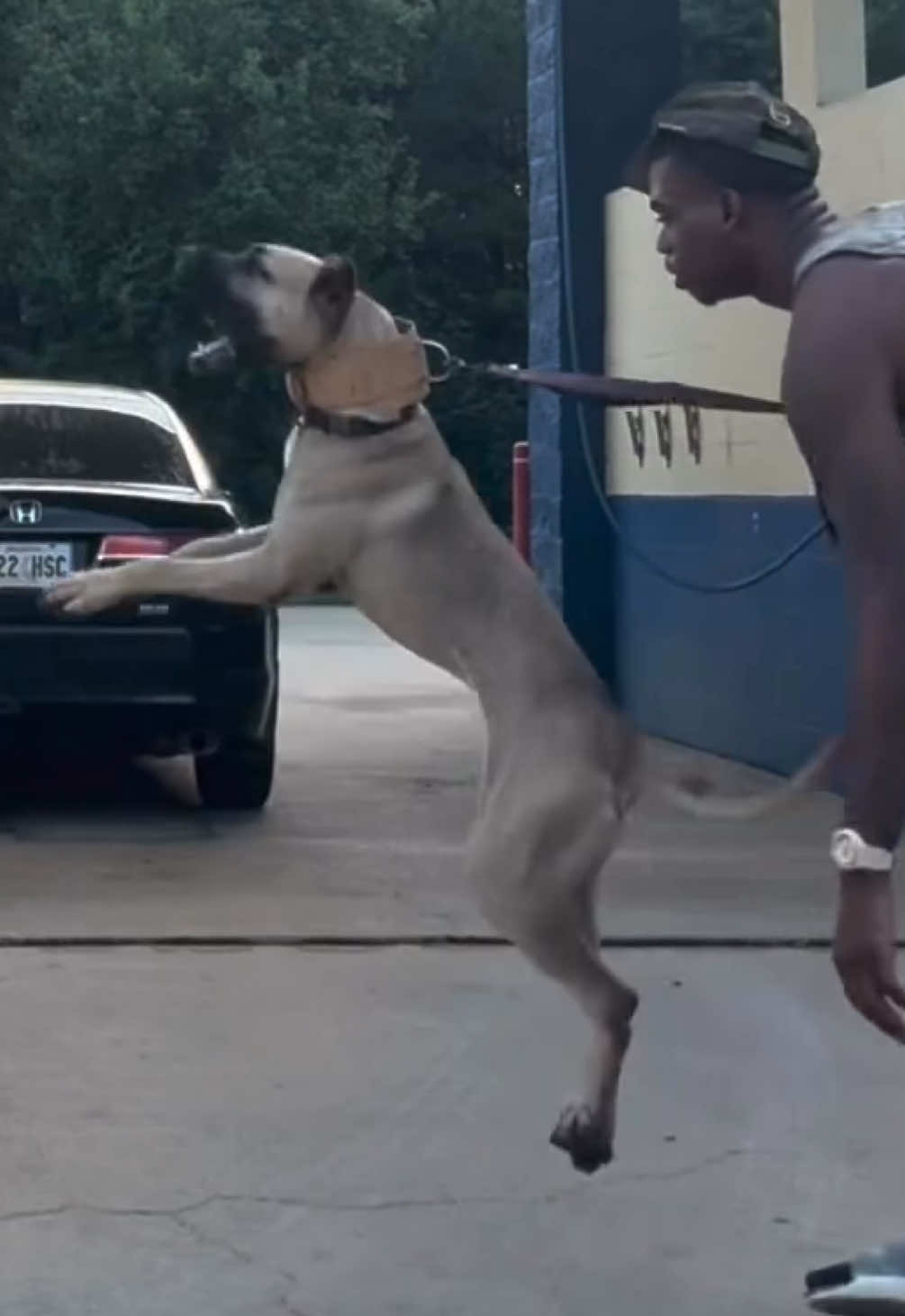 @KVNG KENNELS