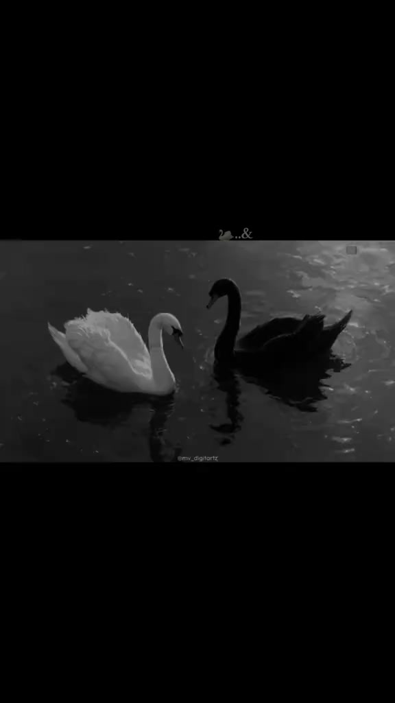 @โจ๏ธโค๏ธ๐ฆ๐๐๐๐