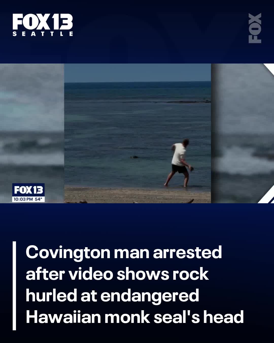 @FOX 13 Seattle