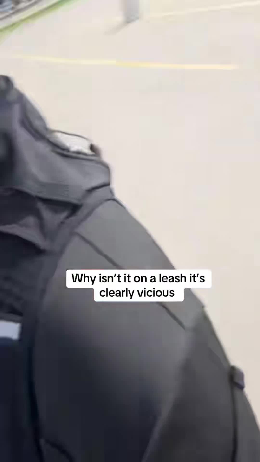 @Bigdaddyleo