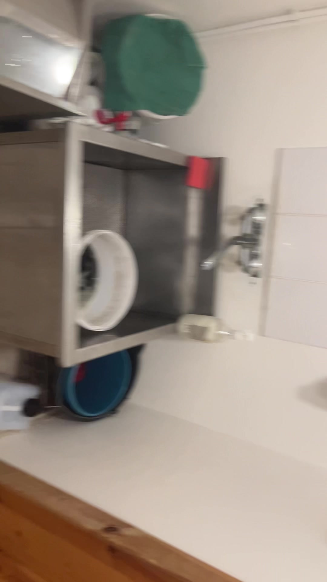 @Birbito400iq