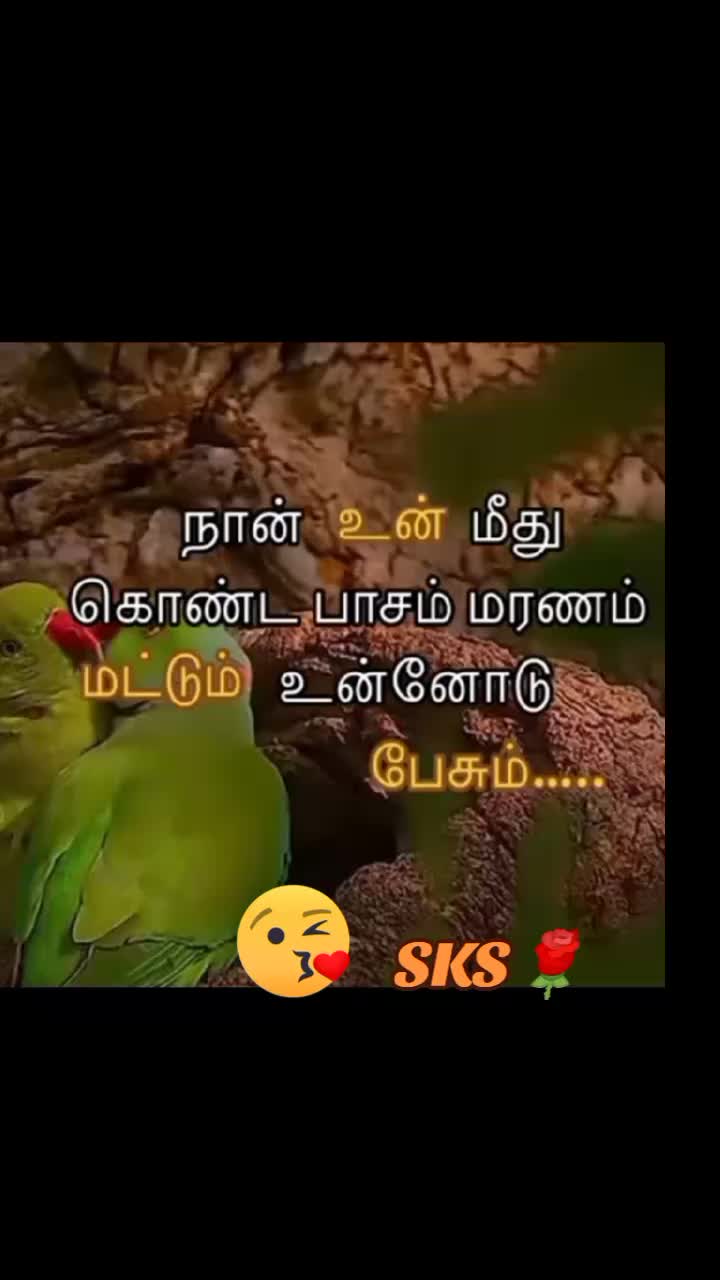 @๐น๐SK๓พซ๐๐น