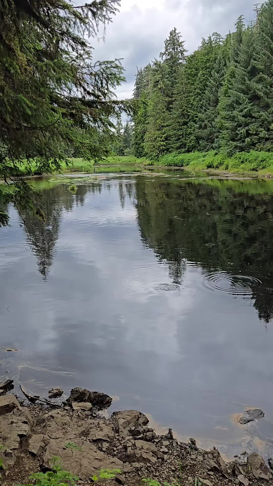 @Alaska's jim stone living wild