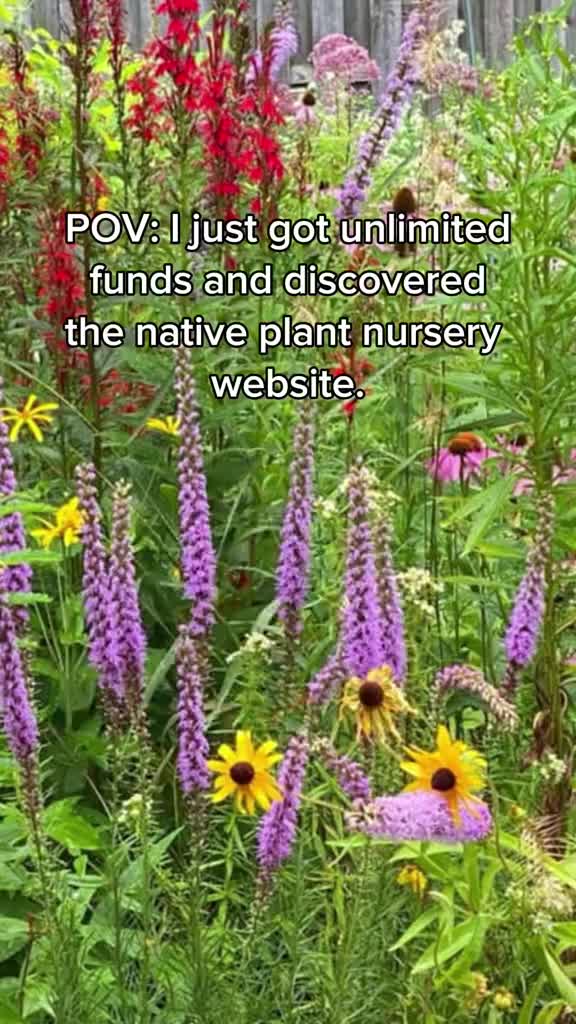 @Naturalist James Anderson