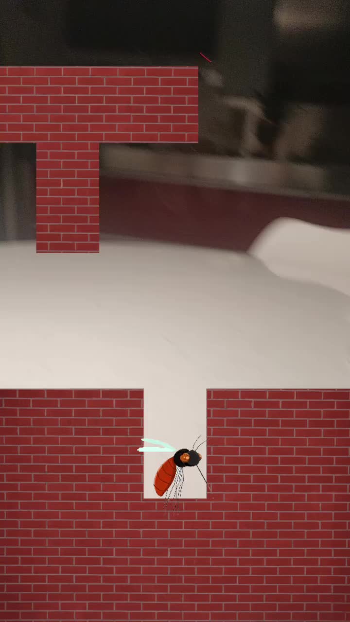 @nico