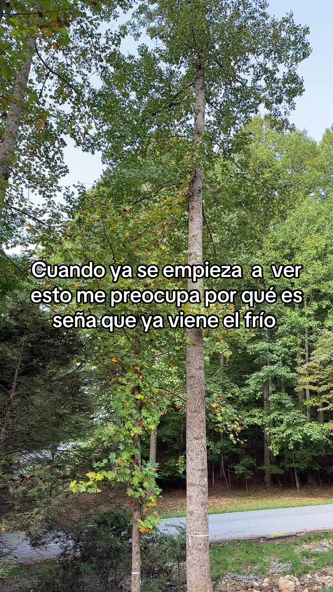 @el pay