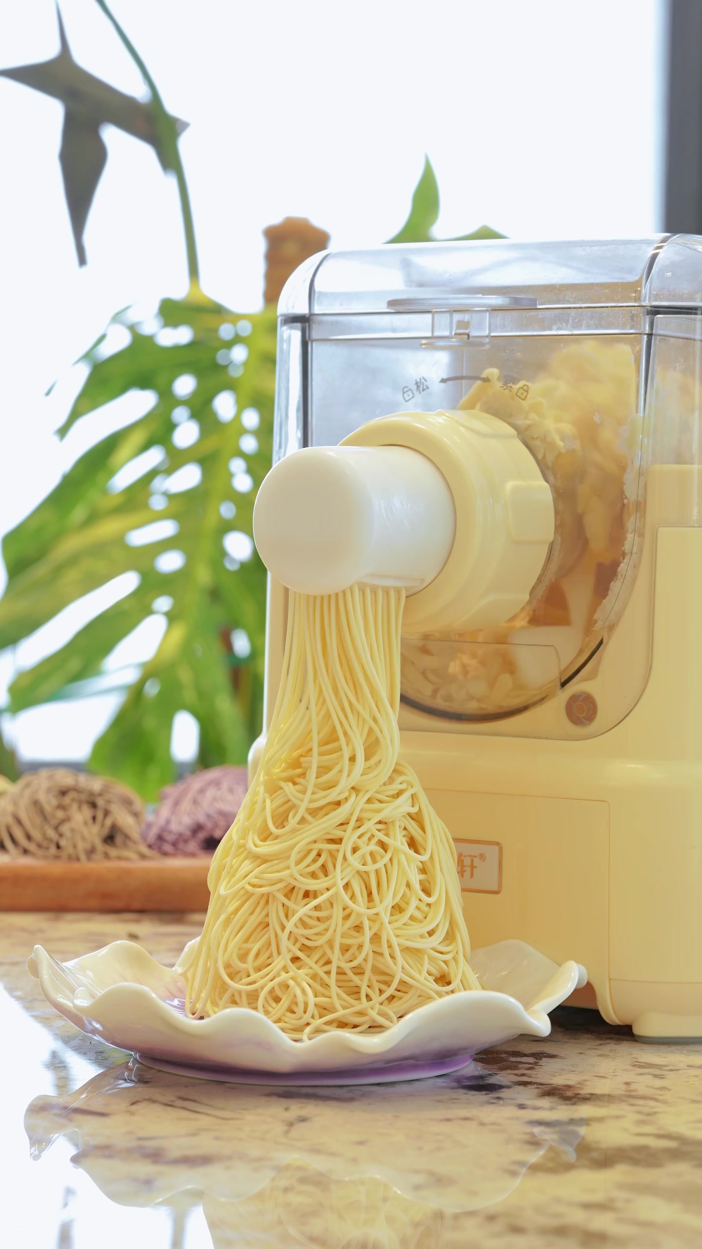 @Pasta maker factory