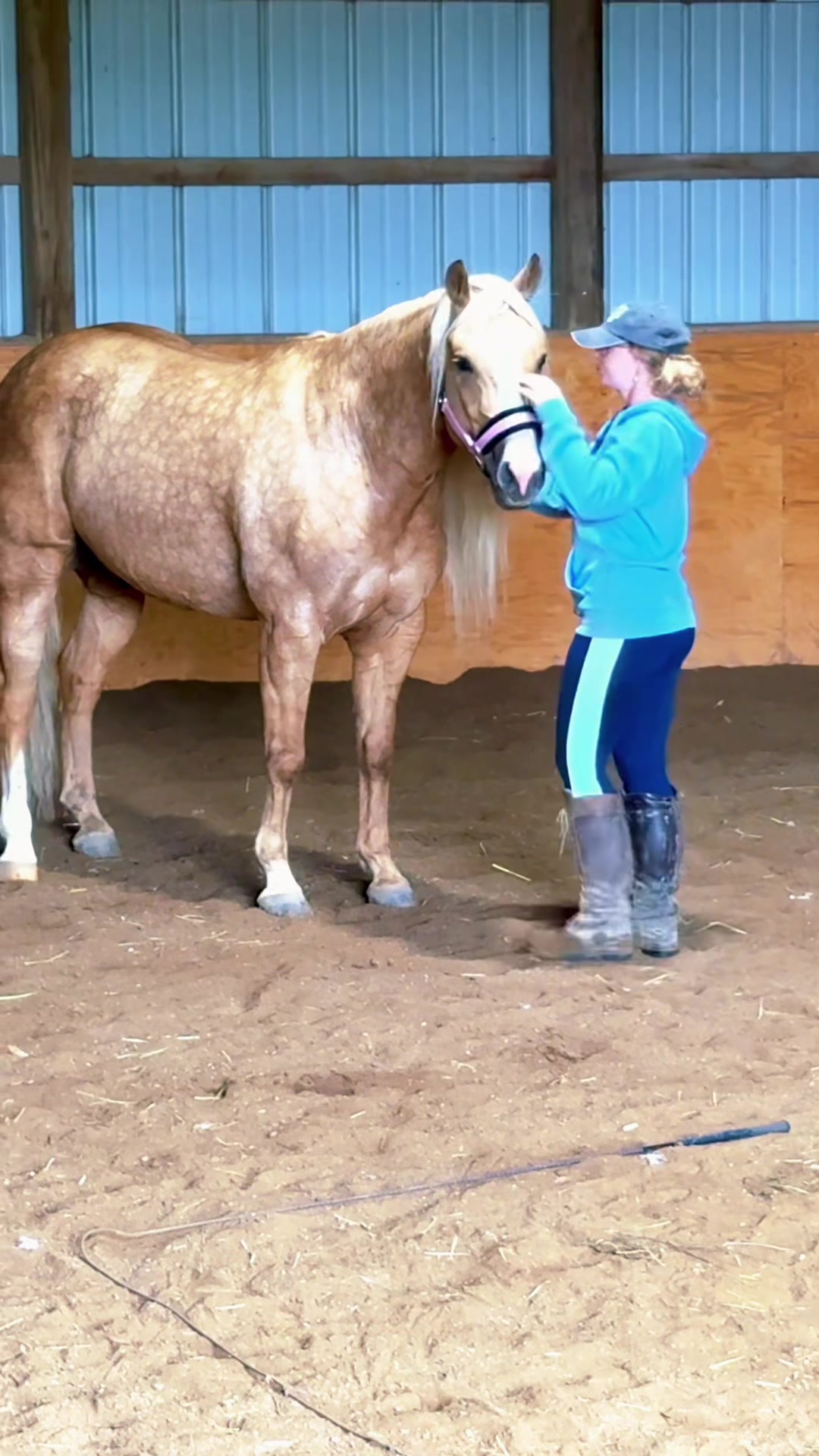 @Free Spirit Equestrian