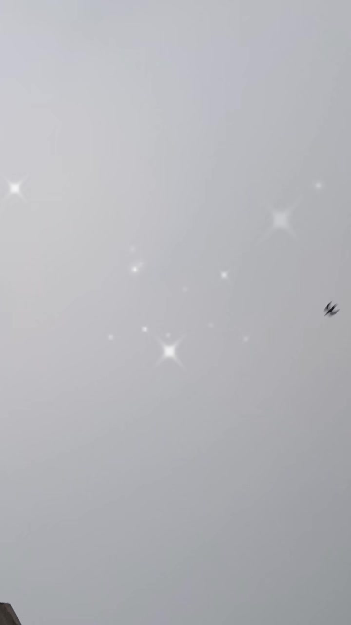 @angel