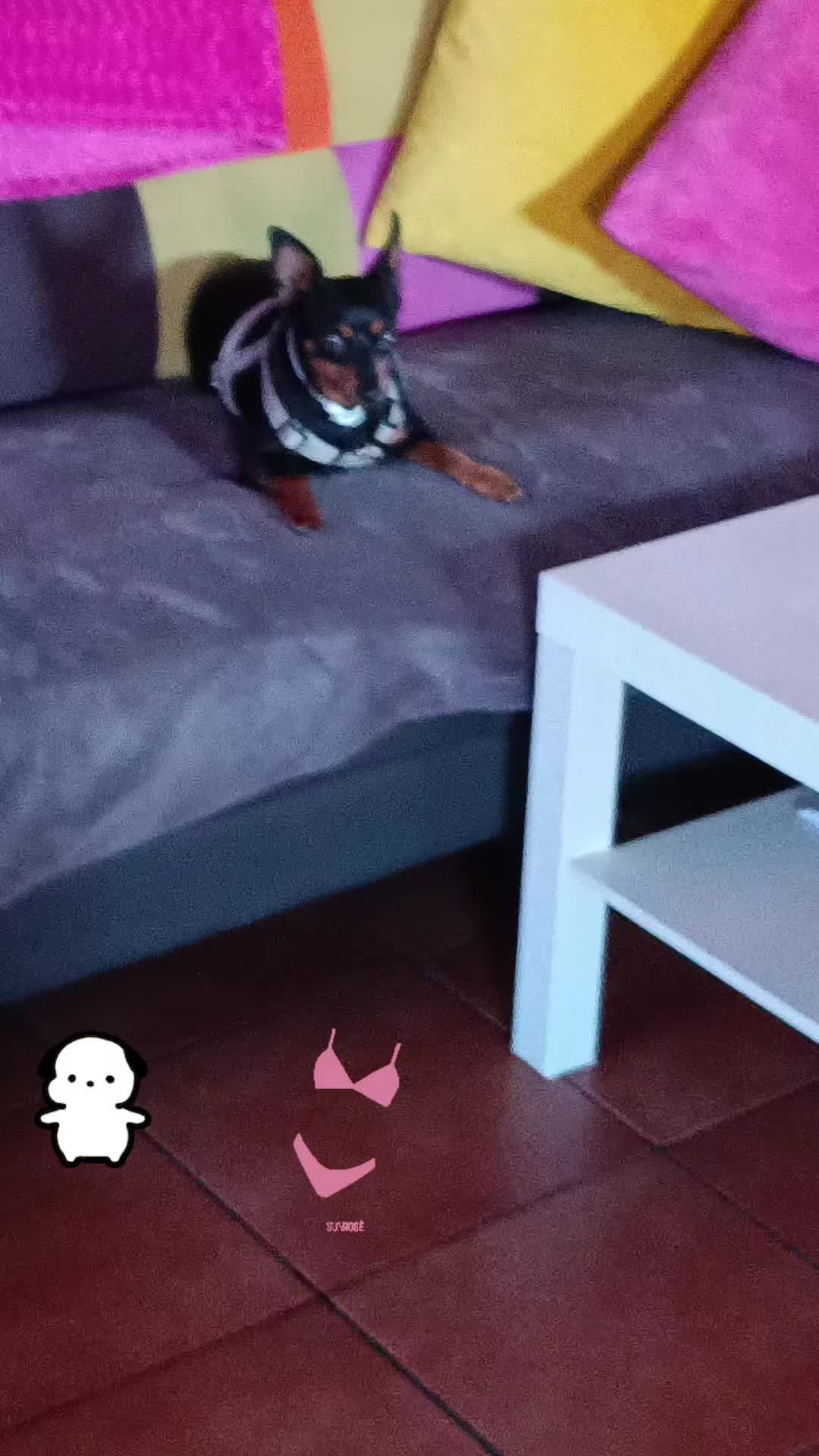@Martín y Carlota