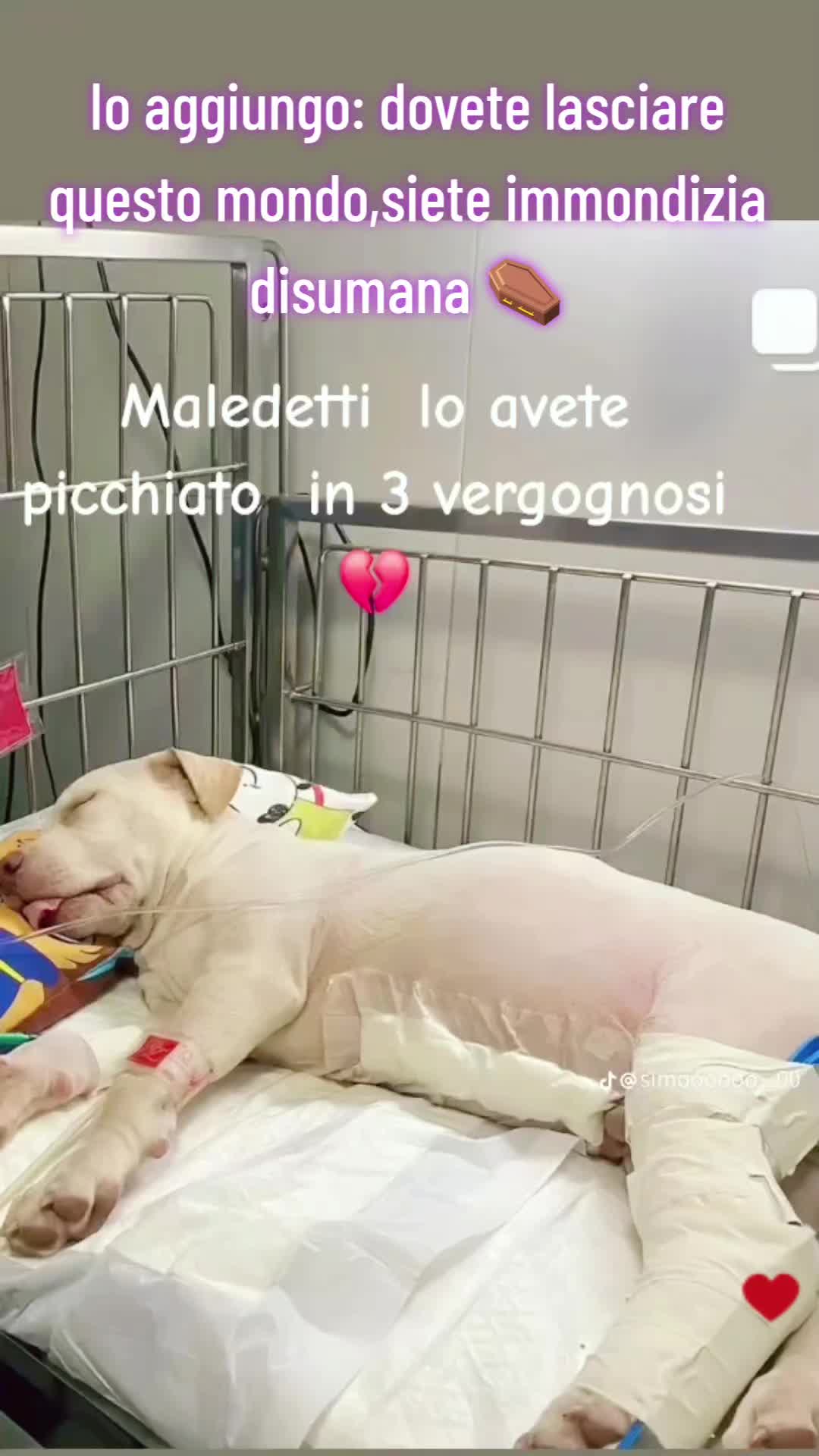 @VENNE DAL FREDDO 🥶